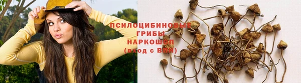 метадон Ивангород