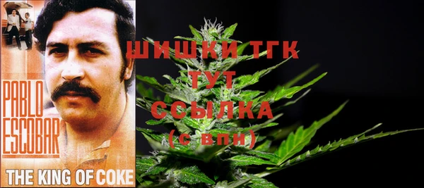 2c-b Бронницы