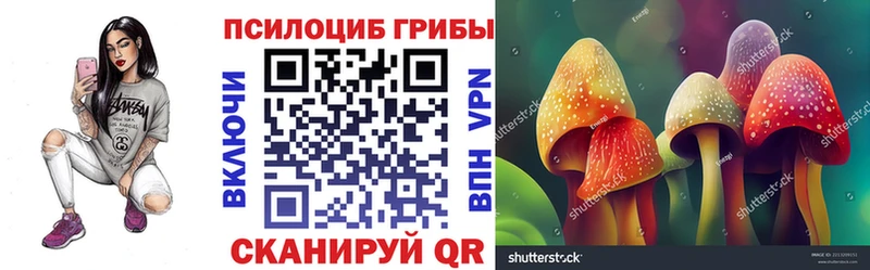Галлюциногенные грибы прущие грибы  Мончегорск 
