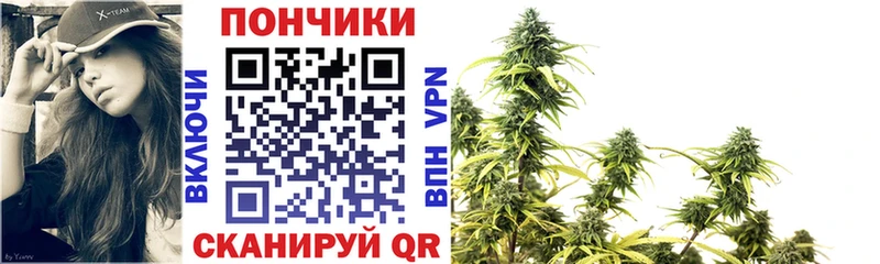 цена наркотик  Мончегорск  Бошки Шишки THC 21% 